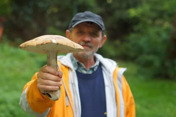  Mushroom picking is a joy. Many times the whole family competes for the biggest mushroom.